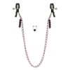Nipple Play - Purple Chain Nipple Clamps