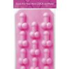 Bachelorette Party Favours Silicone Penis Ice Tray