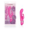 Foreplay Frenzy - Bunny
