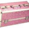 Lockable Sex Toy Storage Box