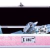 Lockable Sex Toy Storage Box