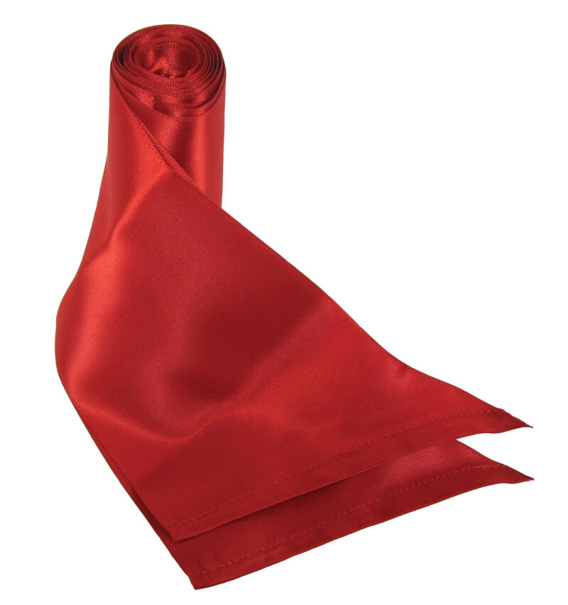 Sportsheets Silk Sash Restraint - Red