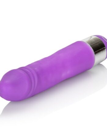 Shane's World Silicone Buddy - Purple