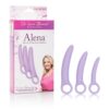 Dr. Laura Berman Alena Set of 3 Silicone Dilators