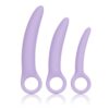 Dr. Laura Berman Alena Set of 3 Silicone Dilators
