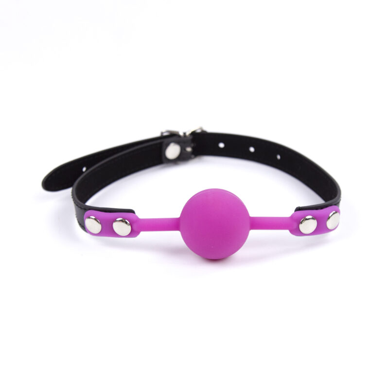 Please Lockable Ball Gag