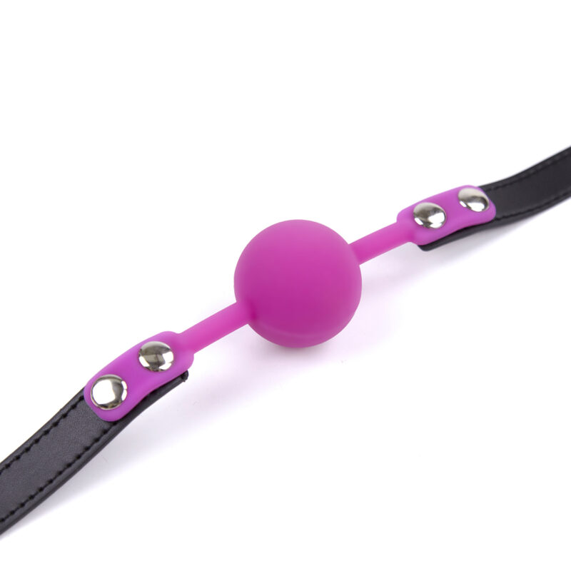 Please Lockable Ball Gag