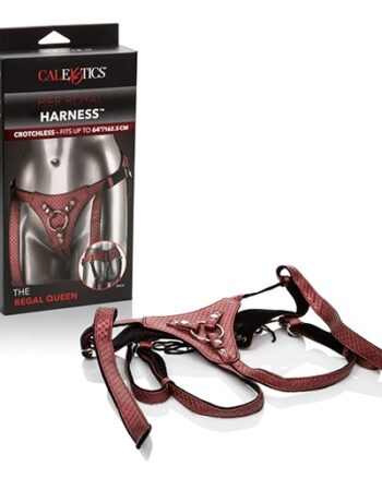 Her Royal Harness The Regal Queen