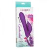 Enchanted Kisser Thrusting Dual Vibe