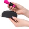 PalmPower Pocket - Mini Wand Vibe