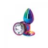 NS - Rear Assets - Rainbow Metal Butt Plug