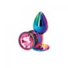 NS - Rear Assets - Rainbow Metal Butt Plug