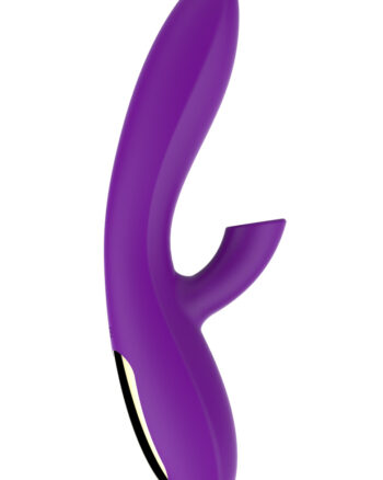 Please Ascend Rabbit Air Vibe