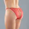 Adore - Enchanted Belle Panty - Red