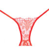 Adore - Enchanted Belle Panty - Red