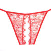 Adore - Enchanted Belle Panty - Red