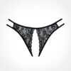 Adore - Crotchless Scalloped Lace Honey Panty
