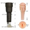 Desire Cup - Stamina Training Masturbation Cup with Suction Base