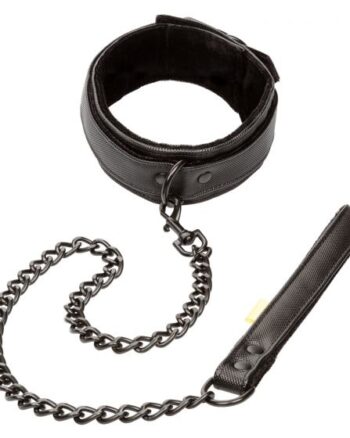 Boundless Collar & Leash