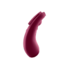 Satisfyer Sexy Secret Wine Red