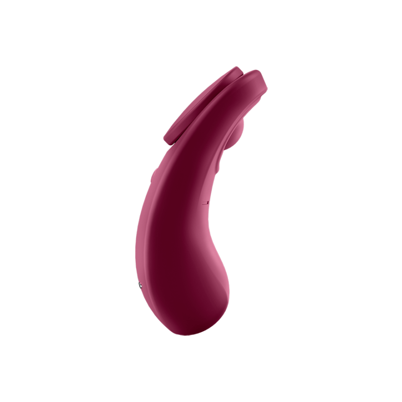 Satisfyer Sexy Secret Wine Red
