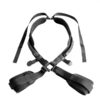 Tracy's Dog - Swing Set