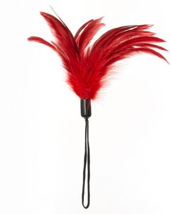 Sportsheets - Pleasure Feather - Red