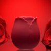 The Rose Clitoral Suction Toy