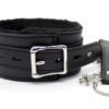 Please - Master Collar & Chain Leash