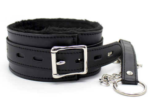 Please - Master Collar & Chain Leash