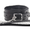 Please - Master Collar & Chain Leash