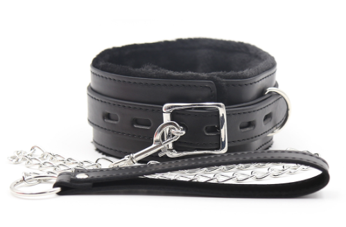 Please - Master Collar & Chain Leash