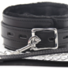 Please - Master Collar & Chain Leash