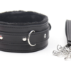 Please - Master Collar & Chain Leash