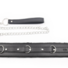 Please - Master Collar & Chain Leash