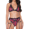 Plaid Peek-A-Boo Bra, Panties & Matching Garter Belt