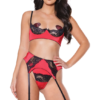 Red & Black Lace Underbust Bra, Panty, & Garter Belt