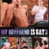 Premium Assorted Adult Gay Male DVD's