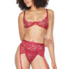Deep Red Floral Lace Demi Cup Bra, Garter Belt, & Thong