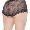 Unisex Peek-A-Boo Lace Boxer Brief