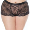 Unisex Peek-A-Boo Lace Boxer Brief