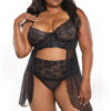 Black Lace & Mesh Babydoll & High-Waisted Thong