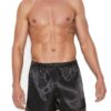 Sexy Black Satin Boxer