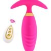 Luminous Remote Anal Vibrator