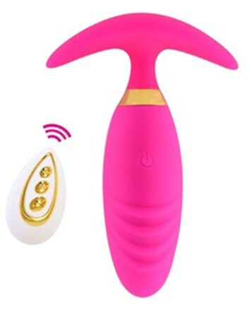Luminous Remote Anal Vibrator