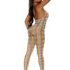 Rainbow Open Crotch Bodystocking