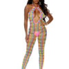 Rainbow Open Crotch Bodystocking