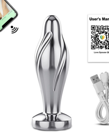 Stainless Steel Swirl Anal Vibrator