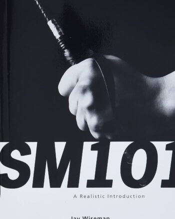 SM 101: A Realistic Introduction Book