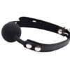 Please Lockable Ball Gag